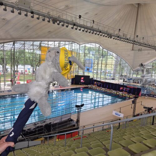 PSVWM_Schwimmen_Ausflug_Europameisterschaft2026_3